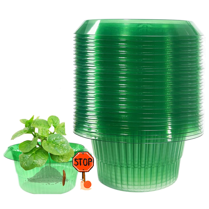 5-25 pçs plantas slug proteção - Vegetable Transplanter avaliação e preço