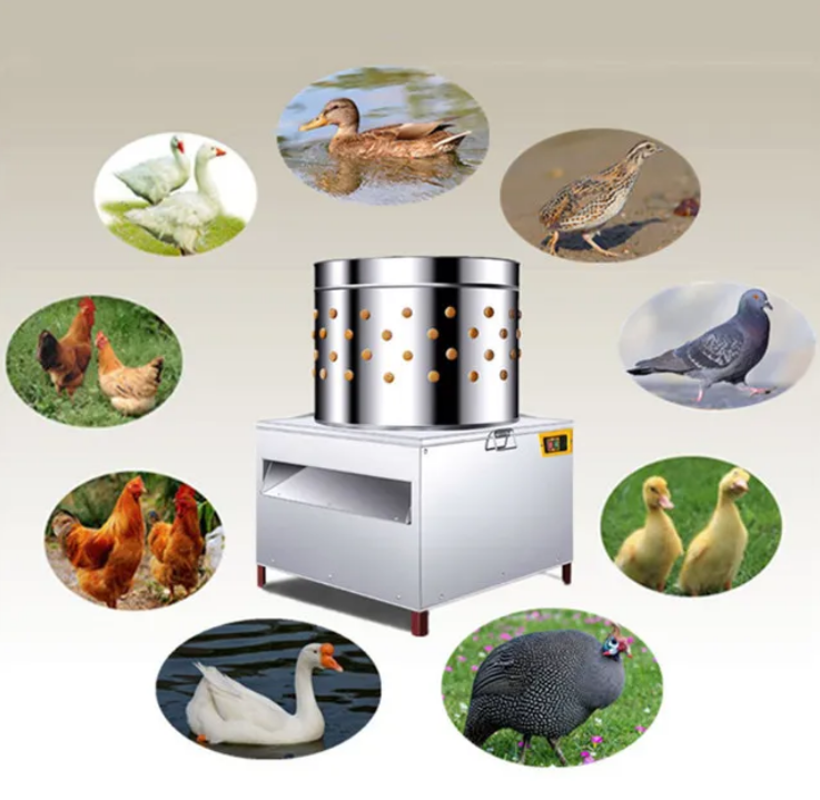 Máquina Depenadora de Frangos  - Chicken Plucker Machine avaliação e preço