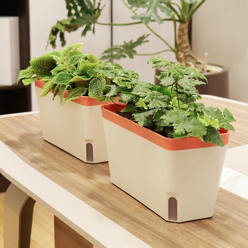 Multi-Function Double Layer Fl - Vegetable Transplanter avaliação e preço