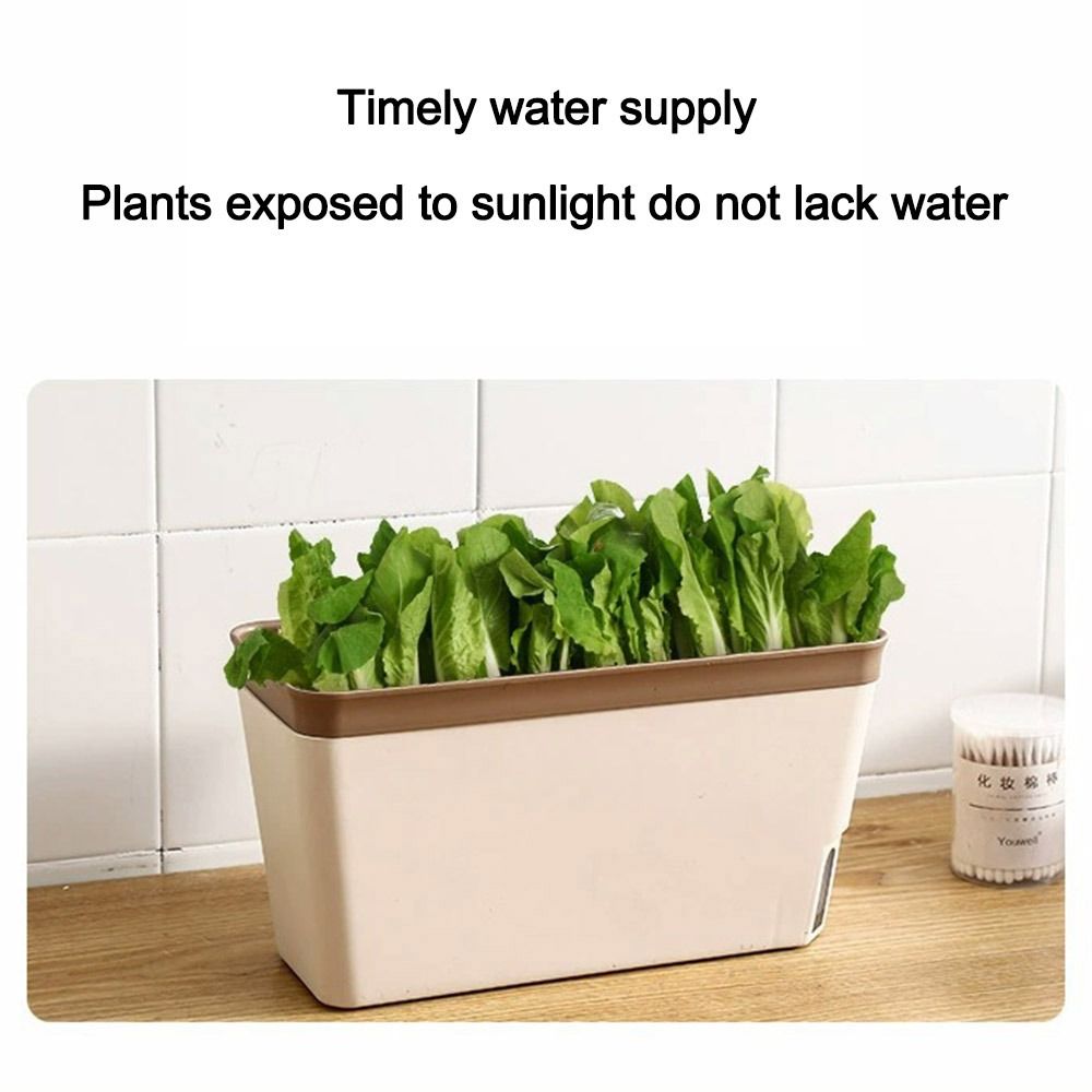 Multi-Function Double Layer Fl - Vegetable Transplanter avaliação e preço