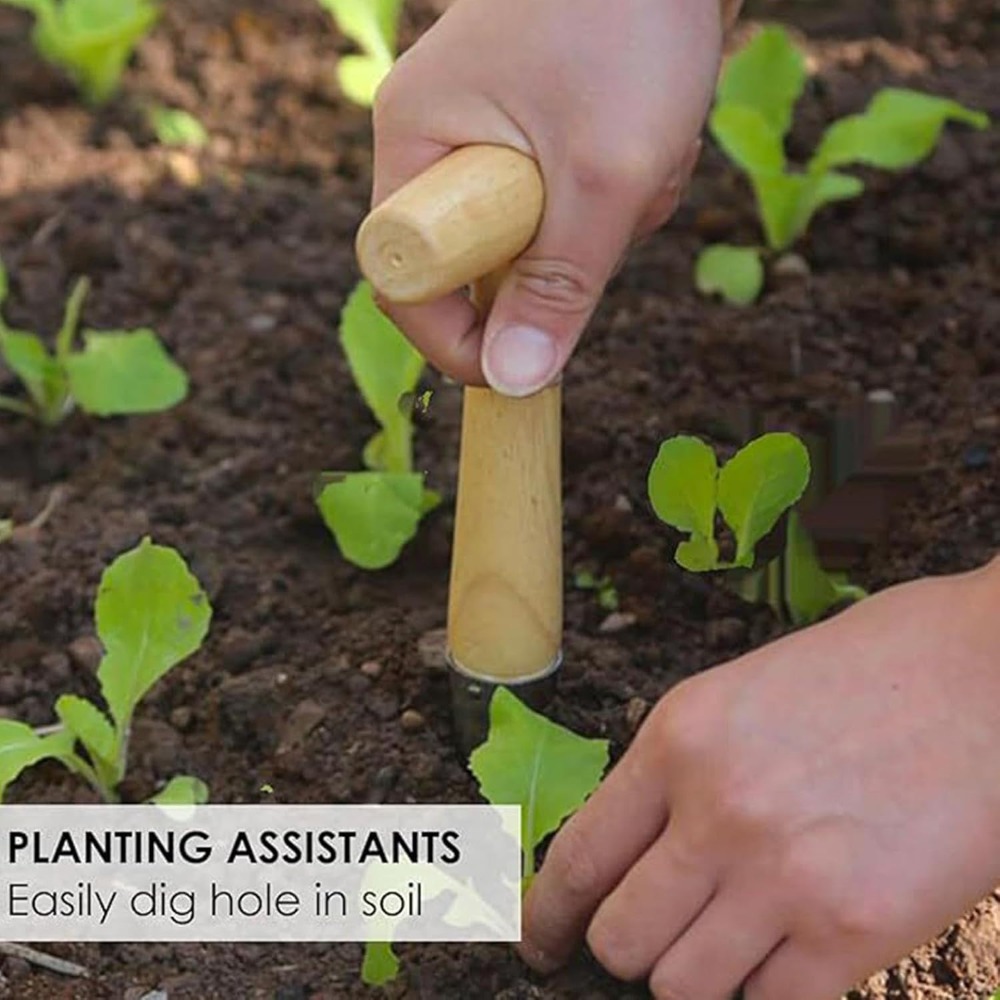Transplantador de Mudas para H - Vegetable Transplanter avaliação e preço