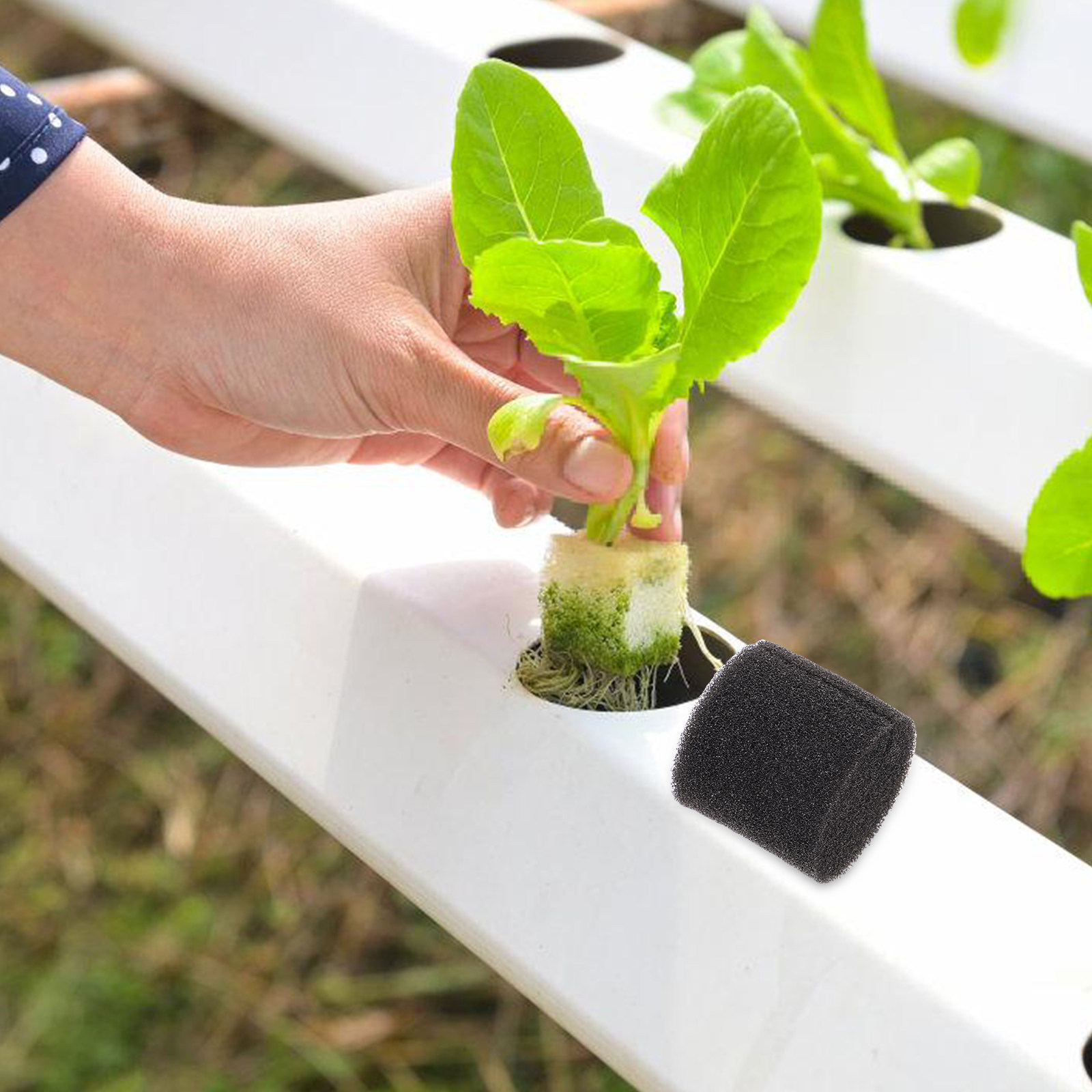 100 Peças de Esponja Hidropôni - Vegetable Transplanter avaliação e preço