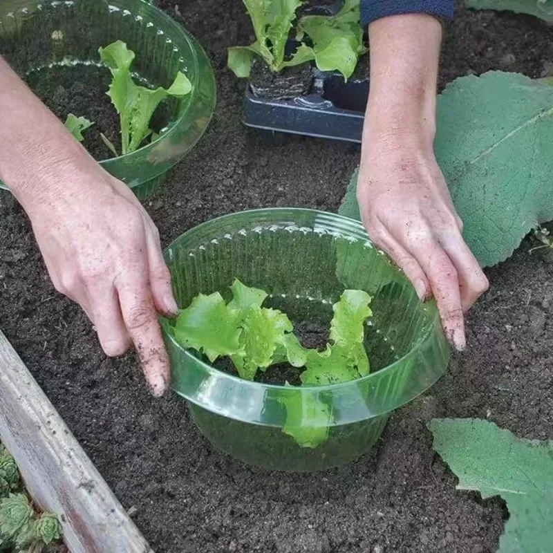 Plantas slug proteção anéis le - Vegetable Transplanter avaliação e preço