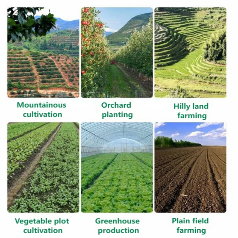 Plantadora Manual de Precisão  - Vegetable Transplanter avaliação e preço
