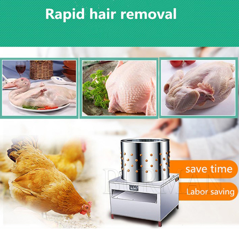 Nova codorna pombos pássaro má - Chicken Plucker Machine avaliação e preço